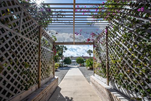 Island Sun Inn & Suites - Venice, Florida Historic Downtown & Beach Getaway - 주변 환경