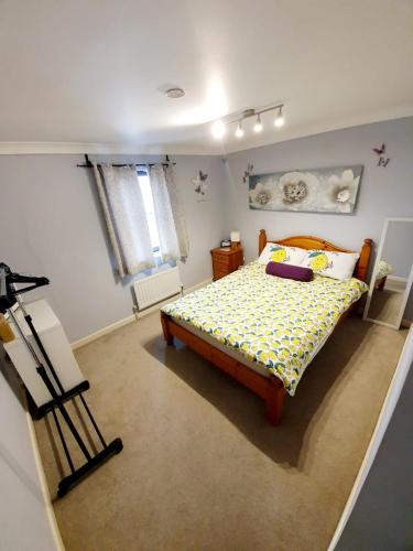 Chelmsford Town Centre Apartments With Car Parking, , Essex