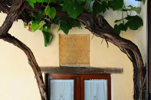 B&B Camere La Vite - image 13