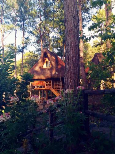 Sagada Heritage Village Room Type - Family Room with Private Bathroom
