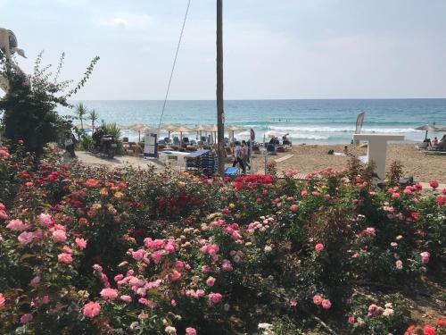  Blue Ocean in Agios Gordios