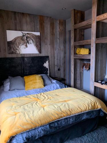chalet chamois