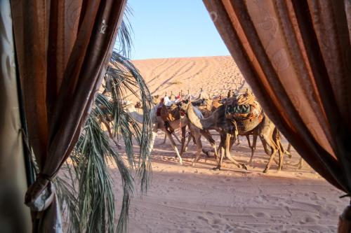 Arena Desert Camp & Adventurers
