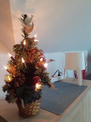 Apartman zlatibor - image 6