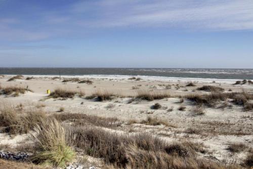 11D Mariners Walk - image 5
