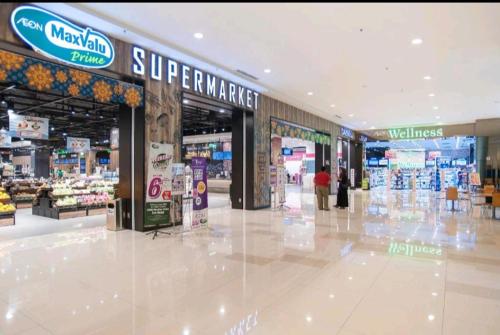 Nins Evo Studio - image 8