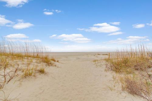 202 D Port O Call - image 7