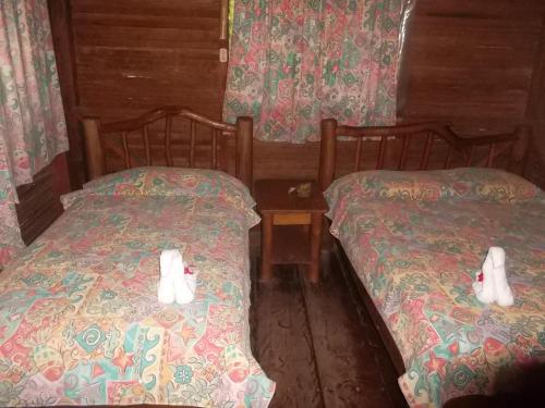 2 twin beds