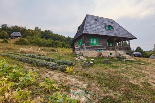 Viesnīcas āriene, Casa Glod in Almasu Mare
