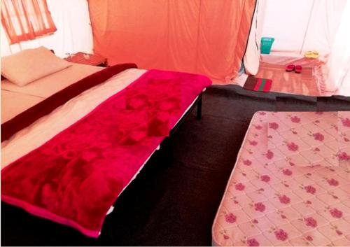 TIH Alpenglow Camp - Nubra