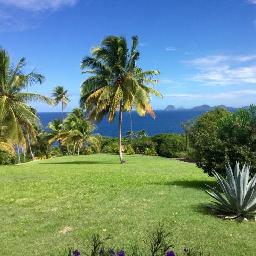 Garden, Romantic Cottage in Saint Patrick