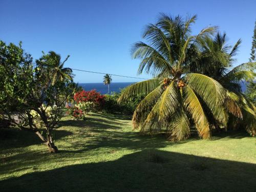 Garden Bungalow in Saint Patrick