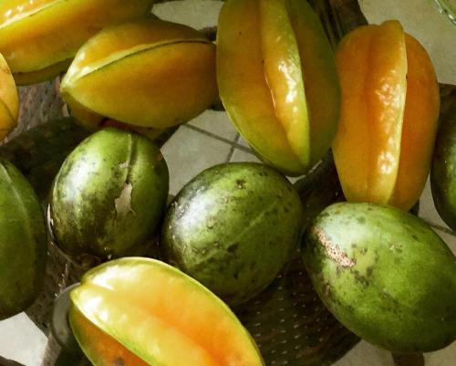 Garden Bungalow in Saint Patrick