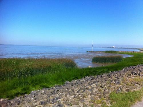DeichDomizil Seeblick