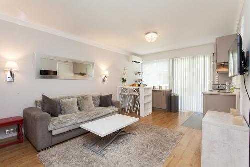 Cannes Centre Lamy T2 35m2 Terrasse 12m2