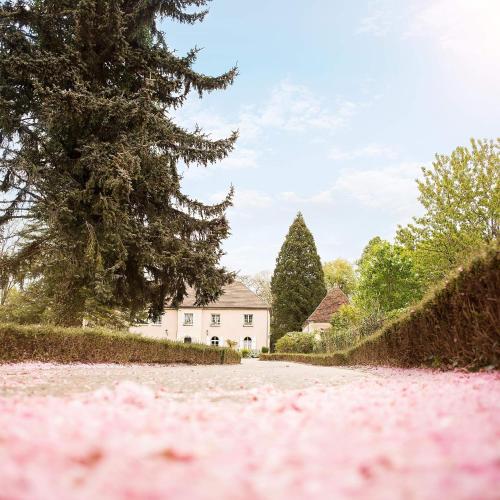 Le Moulin d'Avezé Hotel de charme La Ferté-Bernard