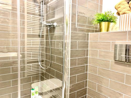 Luxury, bright Studio with parking and balcony in Bratislava center, Bratislava (fotografie 3)