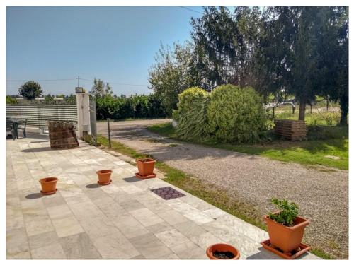 Elizabeth B&B - Accommodation - Lentigione