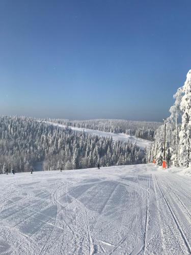 Surrounding environment, Tahko Chalet B 601 in Nilsia