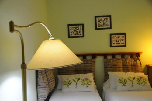 Apartment 6