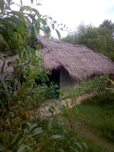 Mermaid Cabana and Tree Houses - image 4