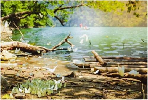 Tran Xuan Homestay Ba Be Vietnam