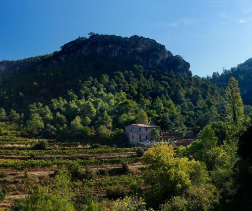 Les Quimeres gîte à louer Pradell