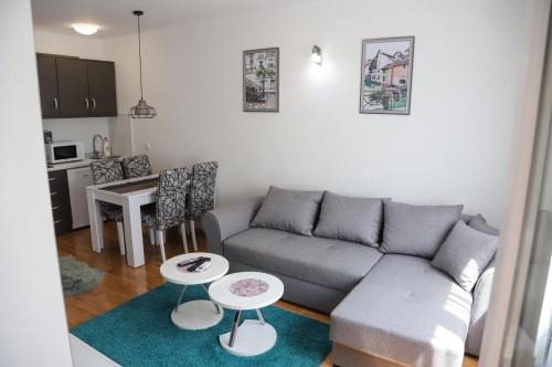 Gray Apartment - Location saisonnière - Vrnjačka Banja