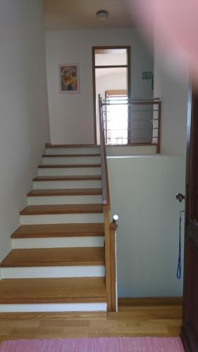 Apartma Dolomiti, Ljubljana (photo 2)