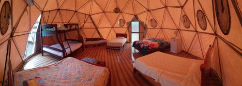 Nativa Whale Domes in Puerto Lopez