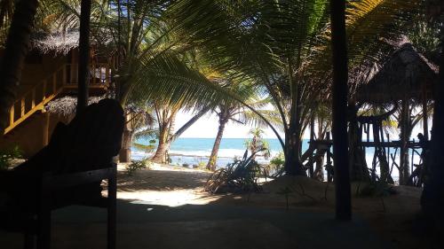 The Alpha Monkey hotel & Tree house, Tangalle