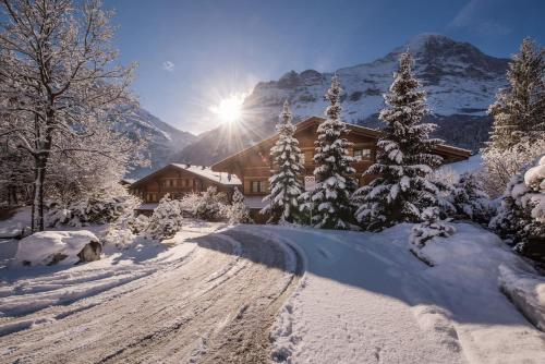 Chalet D - Grindelwald