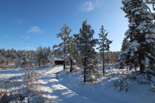 Måsåplassen Friisvegen Mountain Lodge