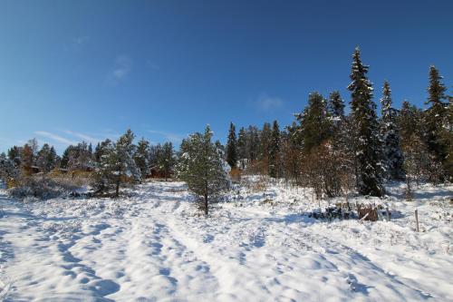 Måsåplassen Friisvegen Mountain Lodge