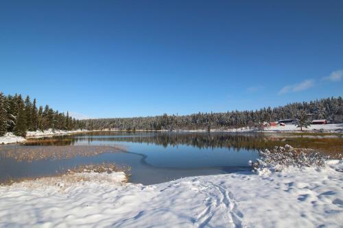 Måsåplassen Friisvegen Mountain Lodge