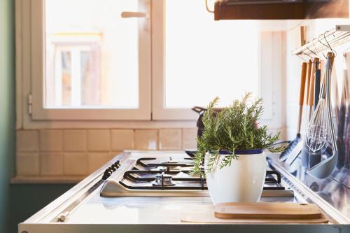 Santa Cecilia in Trastevere with Balcony - image 5