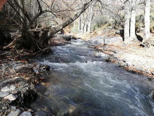  Apartamento Sendero de las Acequias in Mecina Bombarón