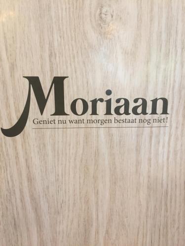 B&B Moriaan - image 8