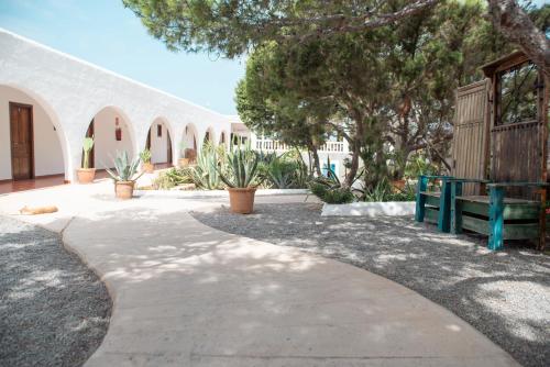 Hostal La Torre Ibiza Cap Negret - image 10