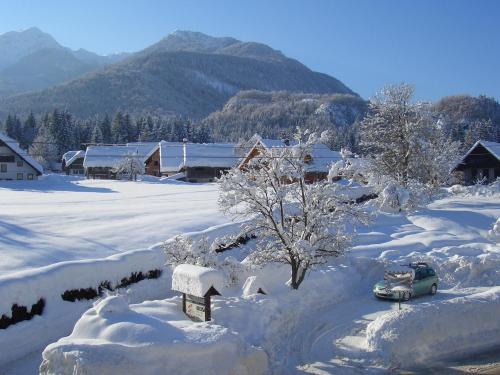 ทัศนียภาพ, Accommodation Resman in โบห์อินจ์สโกเยเซโร