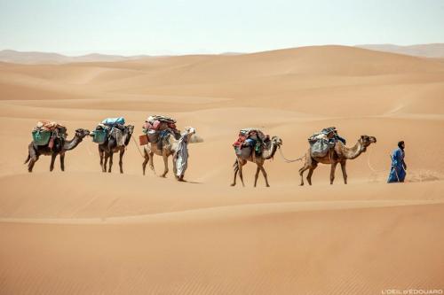 

Camp Sahara Holidays