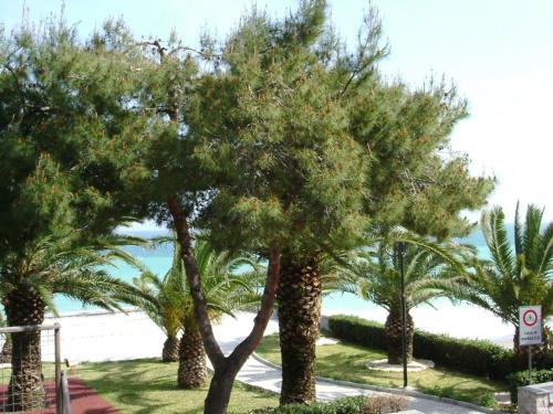 Taormina Beach House - image 7