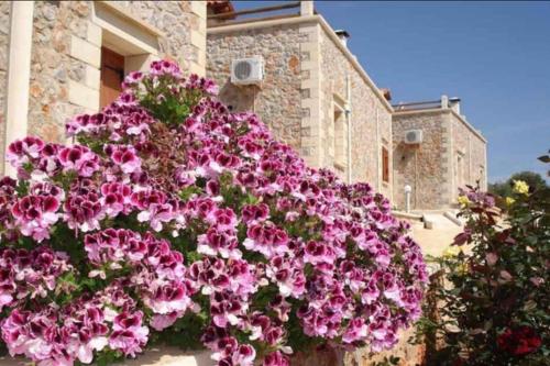  VIOLA SUITES,VILLA 1 with shared pool in Xirostérnion