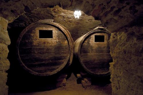 Hostal Palouet de Segarra - image 13