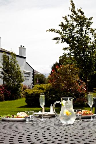 Trout Hotel - image 7