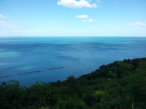 Suite Mare Centro, Pesaro (foto 10)