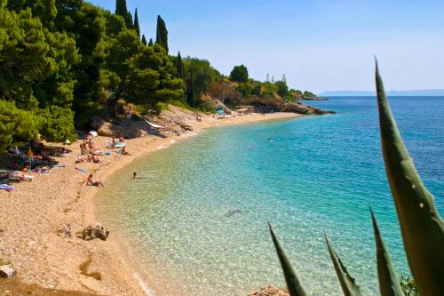 Villa Midea - image 6