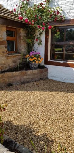 入口, Lower Turnerford Farmhouse in 克拉珀姆