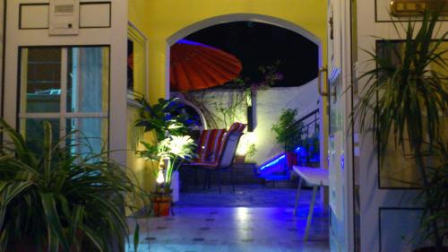 Hotel Petunia - image 7