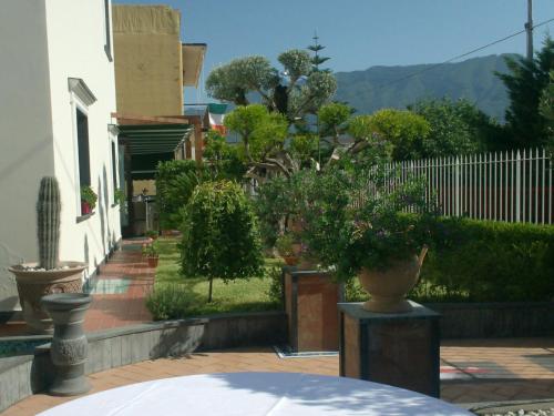 Costa Hotel - image 2